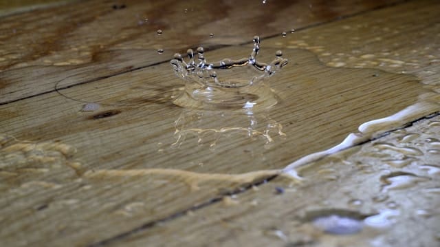dégât d'eau